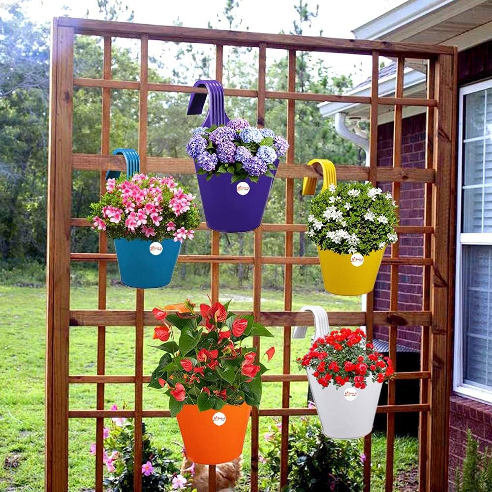 Hanging Planters