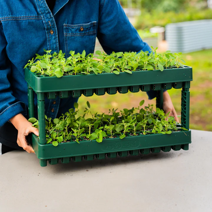 Seedling Trays