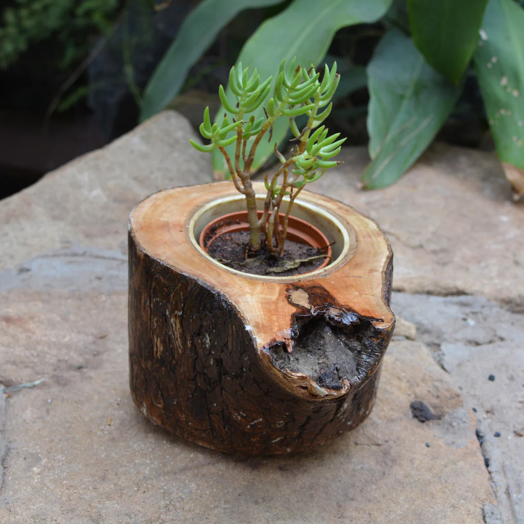 Wooden Planters